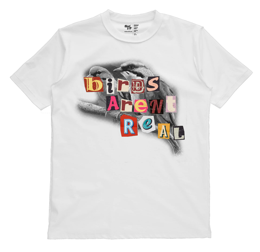 Birds Arent Real